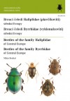 Obrázok - Brouci čeledí plavčíkovití a vyklenulcovití / Beetles of the family Haliplidae and Byrrhidae