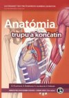 Obrázok - Anatómia trupu a končatín