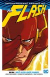 Obrázok - Flash 1: Když blesk udeří dvakrát (váz.)