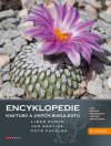 Obrázok - Encyklopedie kaktusů a jiných sukulentů