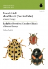 Obrázok - Brouci čeledi slunéčkovití (Coccinellida