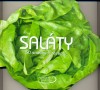 Obrázok - Saláty - 50 snadných receptů