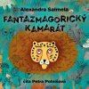 Obrázok - Fantazmagorický kamarát (audiokniha na CD)