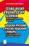 Obrázok - Česko-ruský a rusko český slovník