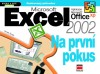 Obrázok - Microsoft Excel 2002 Na první pokus