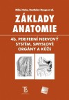 Obrázok - Základy anatomie 4b.