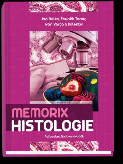 Obrázok - Memorix histologie
