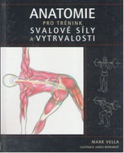 Obrázok - Anatomie pro trénink svalové síly a vytrvalosti