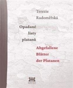 Obrázok - Opadané listy platanů / Abgefallene Blätter der Platanen