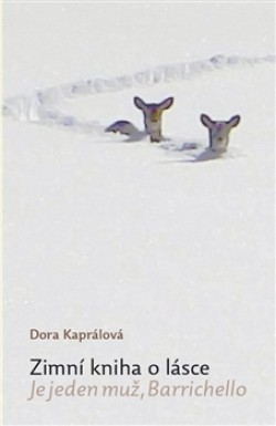 Obrázok - Zimní kniha o lásce