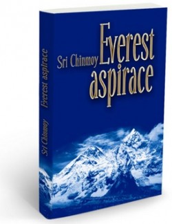Obrázok - Everest aspirace