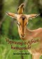 Kniha - Vypravuj o Africe, kamaráde