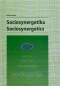 Kniha - Sociosynergetika
