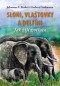 Kniha - Sloni, vlaštovky a delfíni