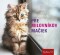 Kniha - Pre milovníkov mačiek