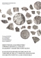 Kniha - Depot mincí a zlomkového stříbra z konce 10. století nalezený v Kojetíně–Popůvkách