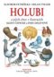 Kniha - Holubi a jejich chov