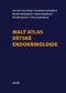Kniha - Malý atlas dětské endokrinologie