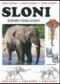Kniha - Sloni svět zvířat