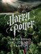 Kniha - Harry Potter - Velká kniha o kouzelných filmech