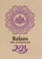 Kniha - Balans diár na šťastný rok 2021