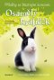 Kniha - Příběhy se šťastným koncem - Osamělý králíček