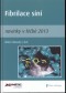 Kniha - Fibrilace síní – novinky v léčbě 2013