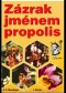 Kniha - Zázrak jménem propolis dotisk
