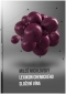 Kniha - Lexikon chemického složení vína