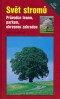 Kniha - Svět stromů