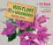 Kniha - Rostliny v nádobách - Rychlý rádce: více než 99 rad pro rychlé řešení problémů