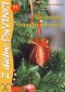 Kniha - Ako ozdobiť vianočný stromček – DaVINCI 77
