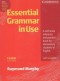 Kniha - Essential Grammar in Use
