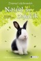 Kniha - Našiel sa zajačik